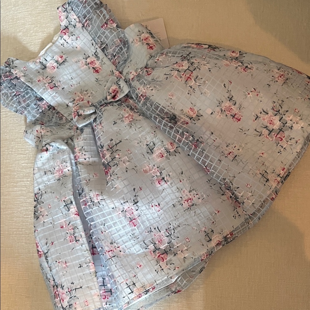 Charming Floral Kids Dress - Blue and Pink